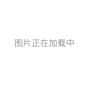 JTFA0217不锈钢单联溶剂过滤器砂芯过滤装置